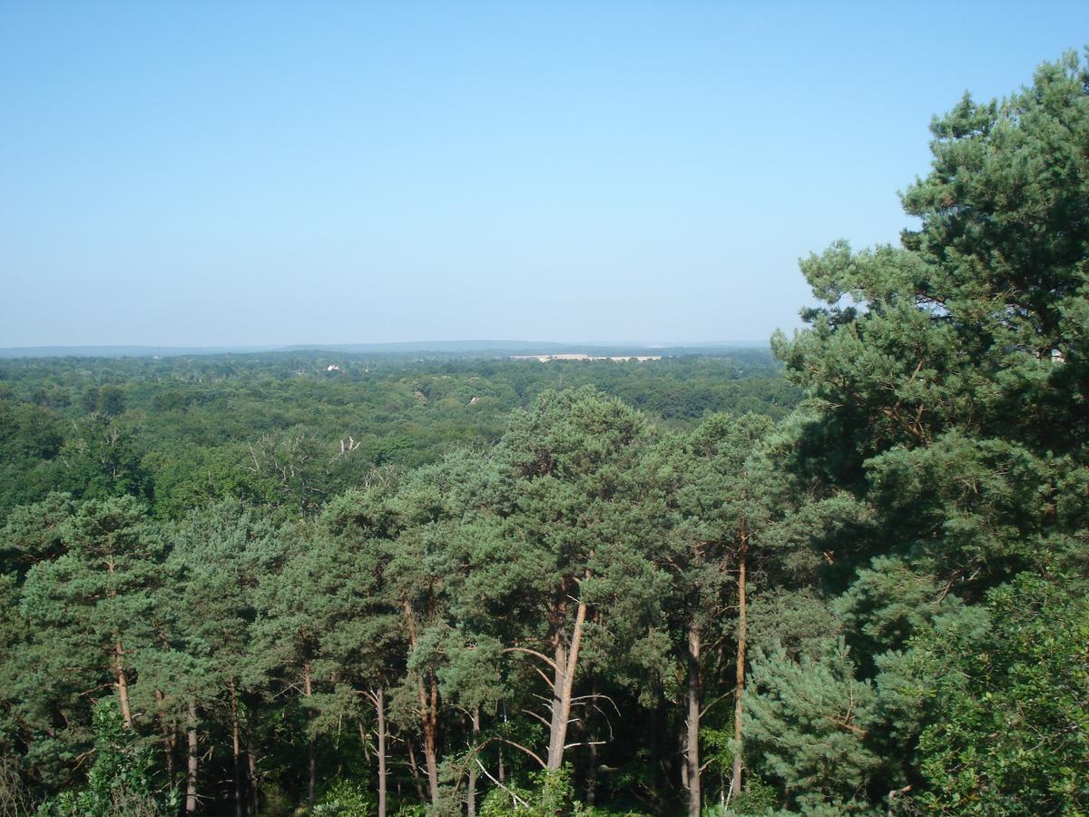 Les Premices De La Foret Chailly-en-Biere ภายนอก รูปภาพ